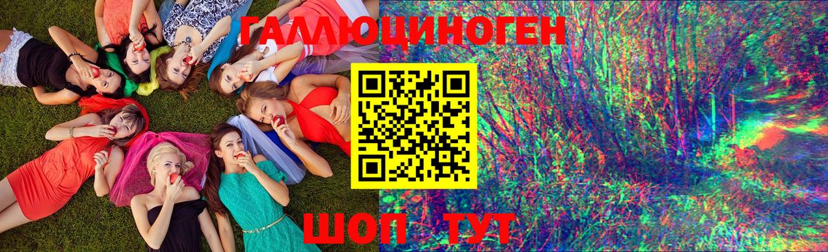 Псилоцибиновые грибы мицелий Томск