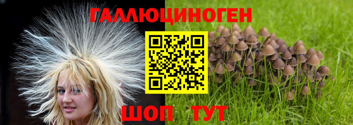 Томск  Галлюциногенные грибы ЛСД  Вход с VPN 