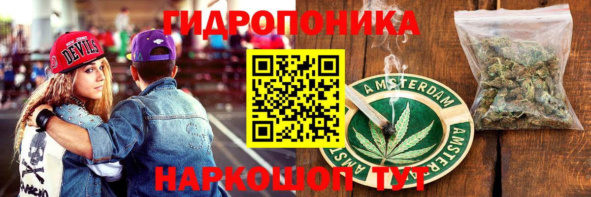 Конопля семена Томск